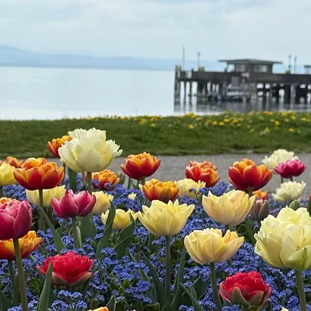 Weitblick - Zwei Schlafzimmer - Terrasse - Kamin アパート