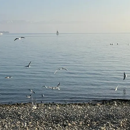 アパート Weitblick - Zwei Schlafzimmer - Terrasse - Kamin ヴァンゲン・イム・アルゴイ