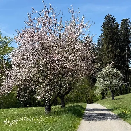 アパート Weitblick - Zwei Schlafzimmer - Terrasse - Kamin *