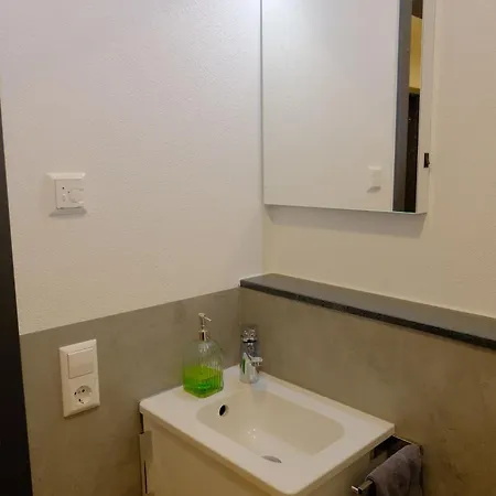 Apartment Weitblick - Zwei Schlafzimmer - Terrasse - Kamin Wangen im Allgäu