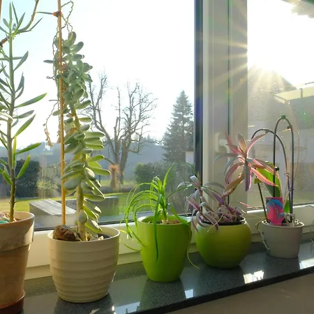 Apartment Weitblick - Zwei Schlafzimmer - Terrasse - Kamin Wangen im Allgäu