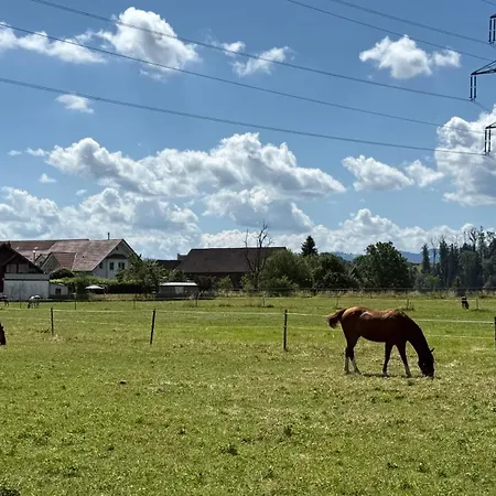 Weitblick - Zwei Schlafzimmer - Terrasse - Kamin *