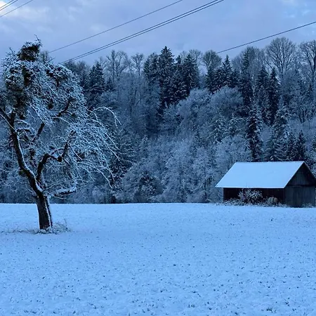 Weitblick - Zwei Schlafzimmer - Terrasse - Kamin