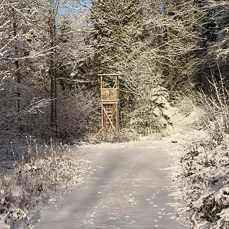 Weitblick - Zwei Schlafzimmer - Terrasse - Kamin